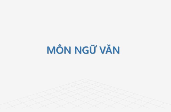 ảnh 1